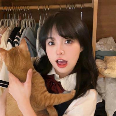 虎豹小霸王前集